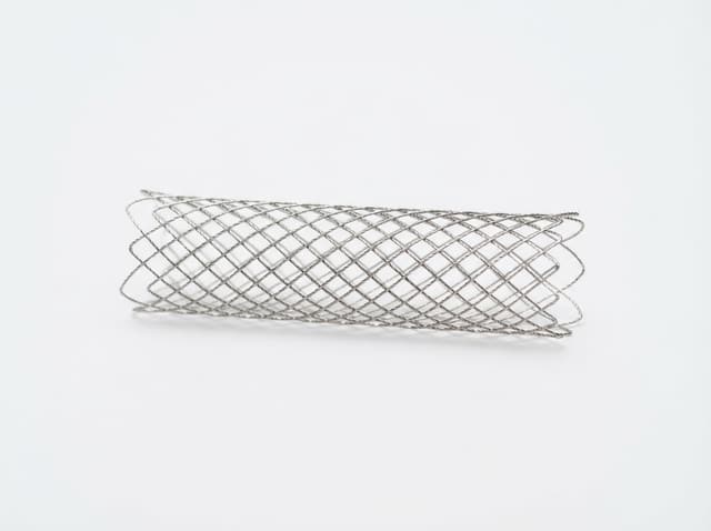 Neurovascular stent system